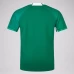 2024 Ireland Men's Home Pro Jersey